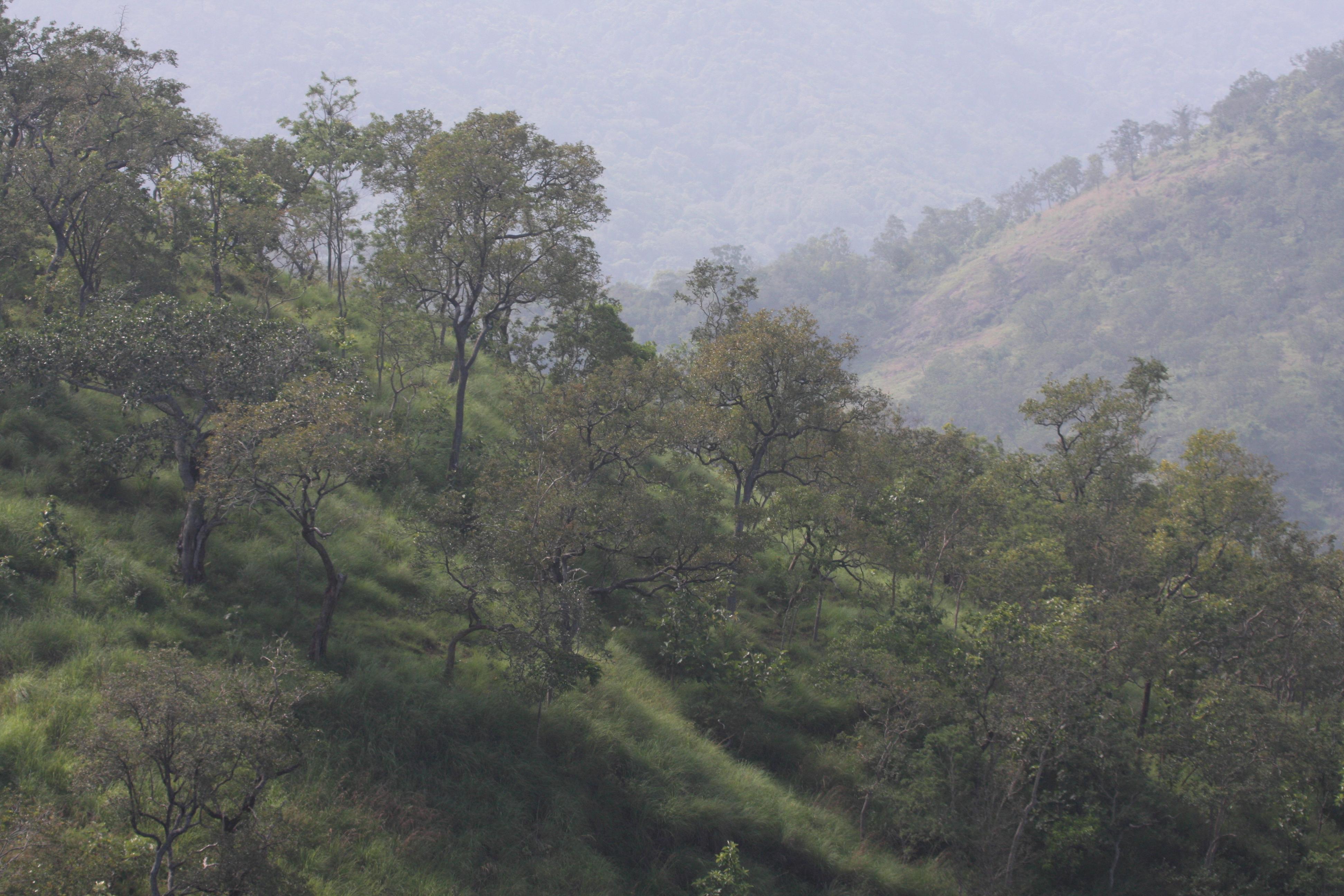 Indira Gandhi Wildlife Sanctuary and National Park